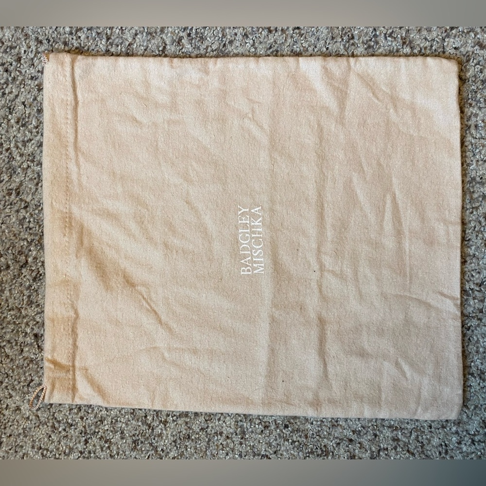 Badgley Mischka Shoe drawstring duster bag. Never been used